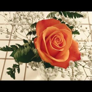 Meet your Posher, Lori